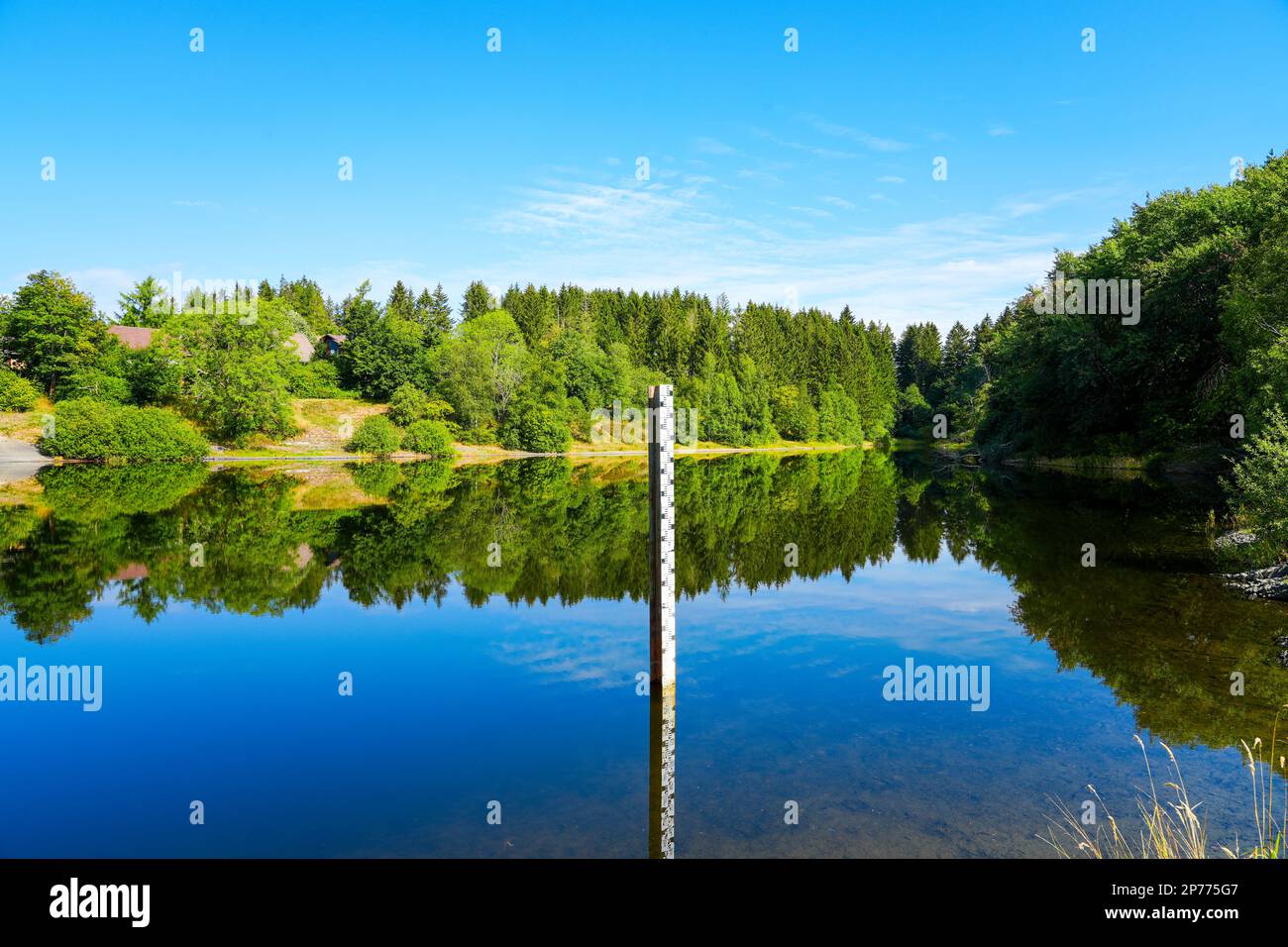 Landscape at the Unterer Eschenbacher Teich. Nature at the lake near