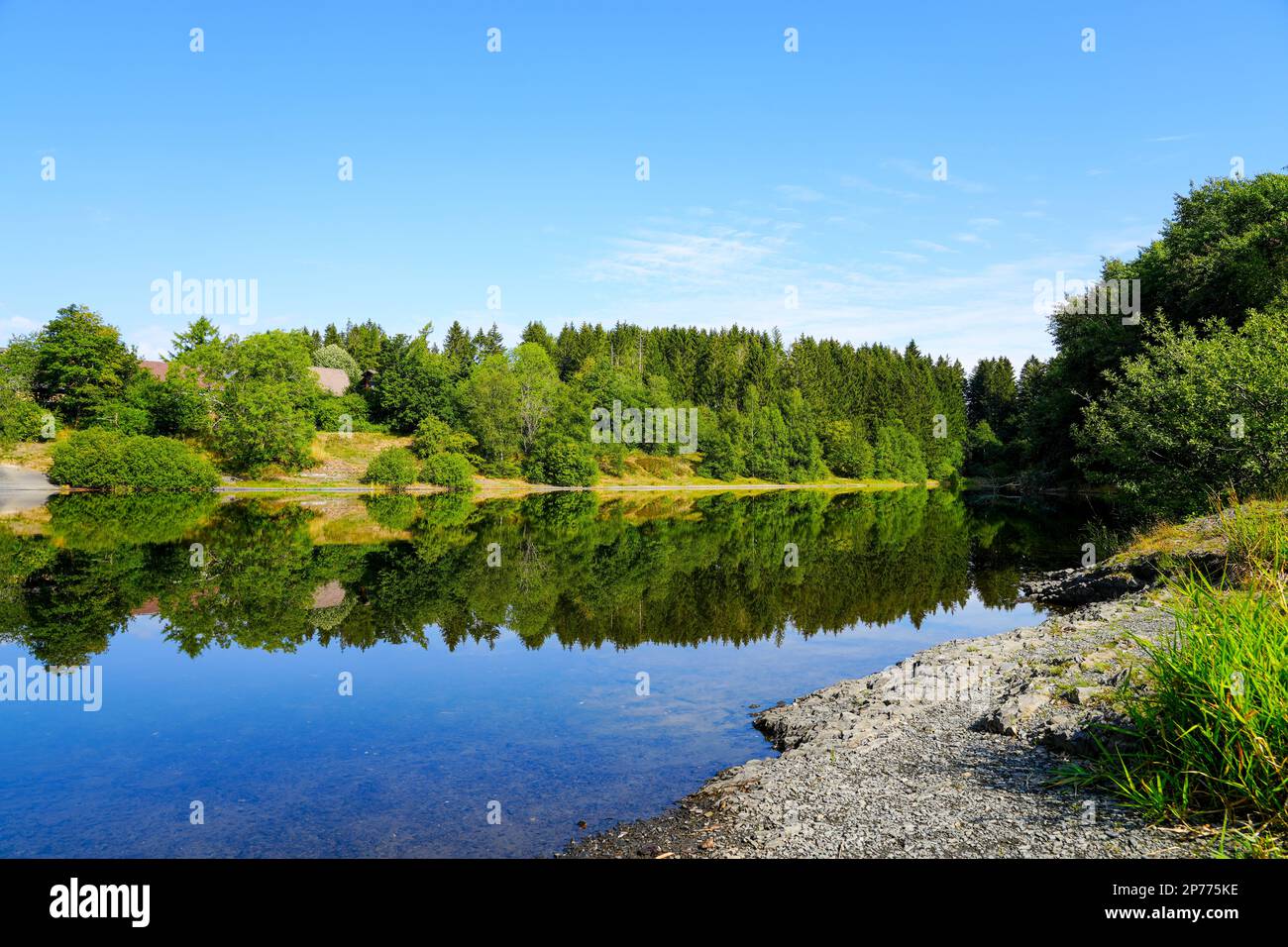 Landscape at the Unterer Eschenbacher Teich. Nature at the lake near