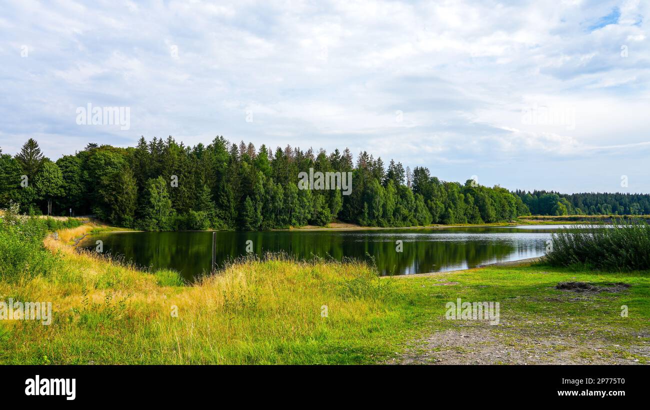 Landscape at the Unterer Haus-Herzberger Teich. Nature at the lake near Clausthal-Zellerfeld in the Harz National Park. Former mining pond. Stock Photo
