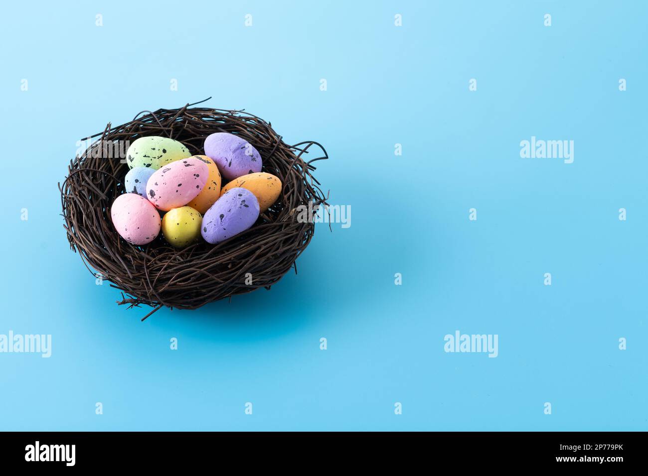 Colorful Easter eggs inside a nest on blue background Stock Photo