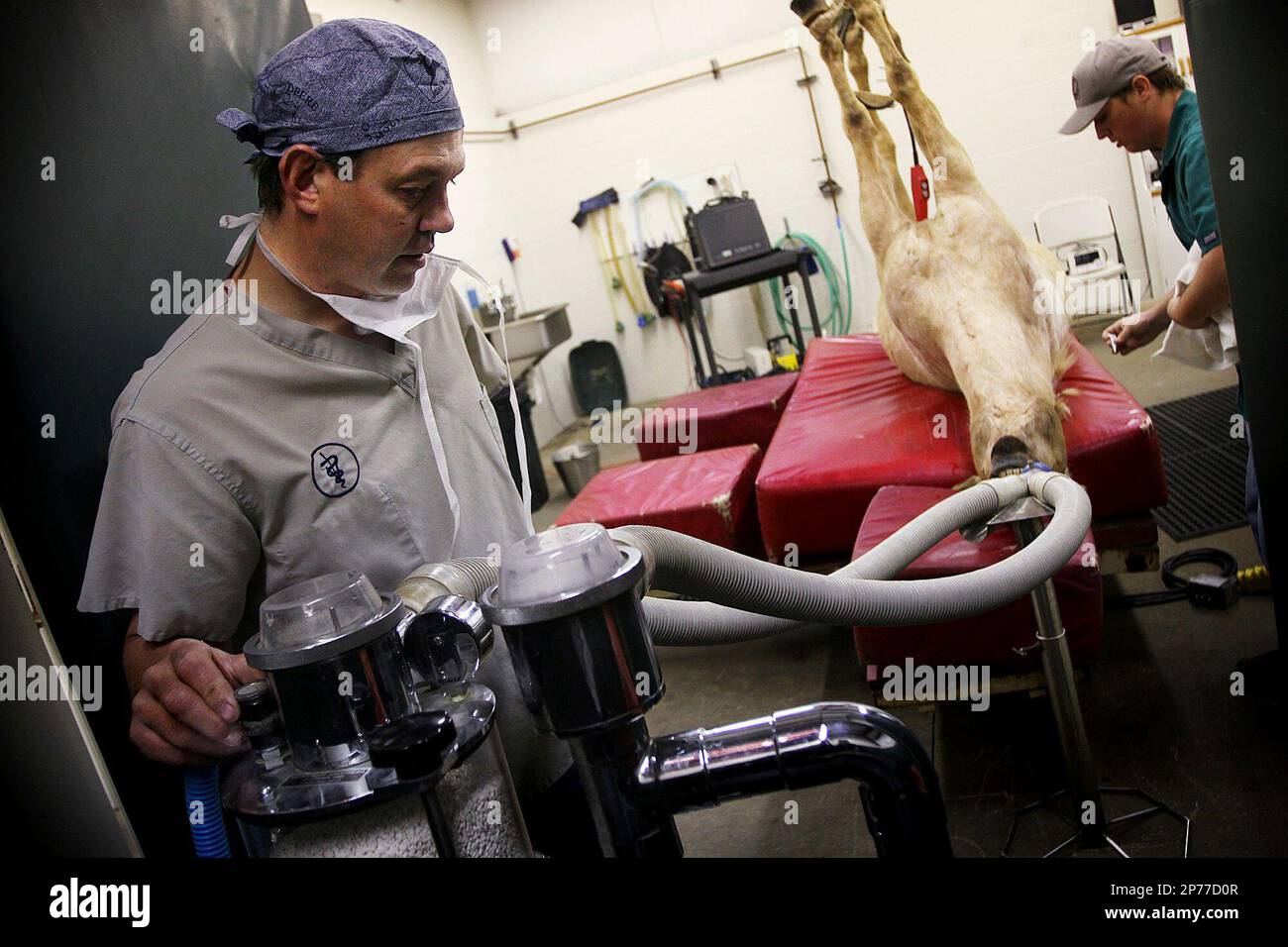 Dr. Mike Walburger, left, and veterinary technician Justin Woolsey