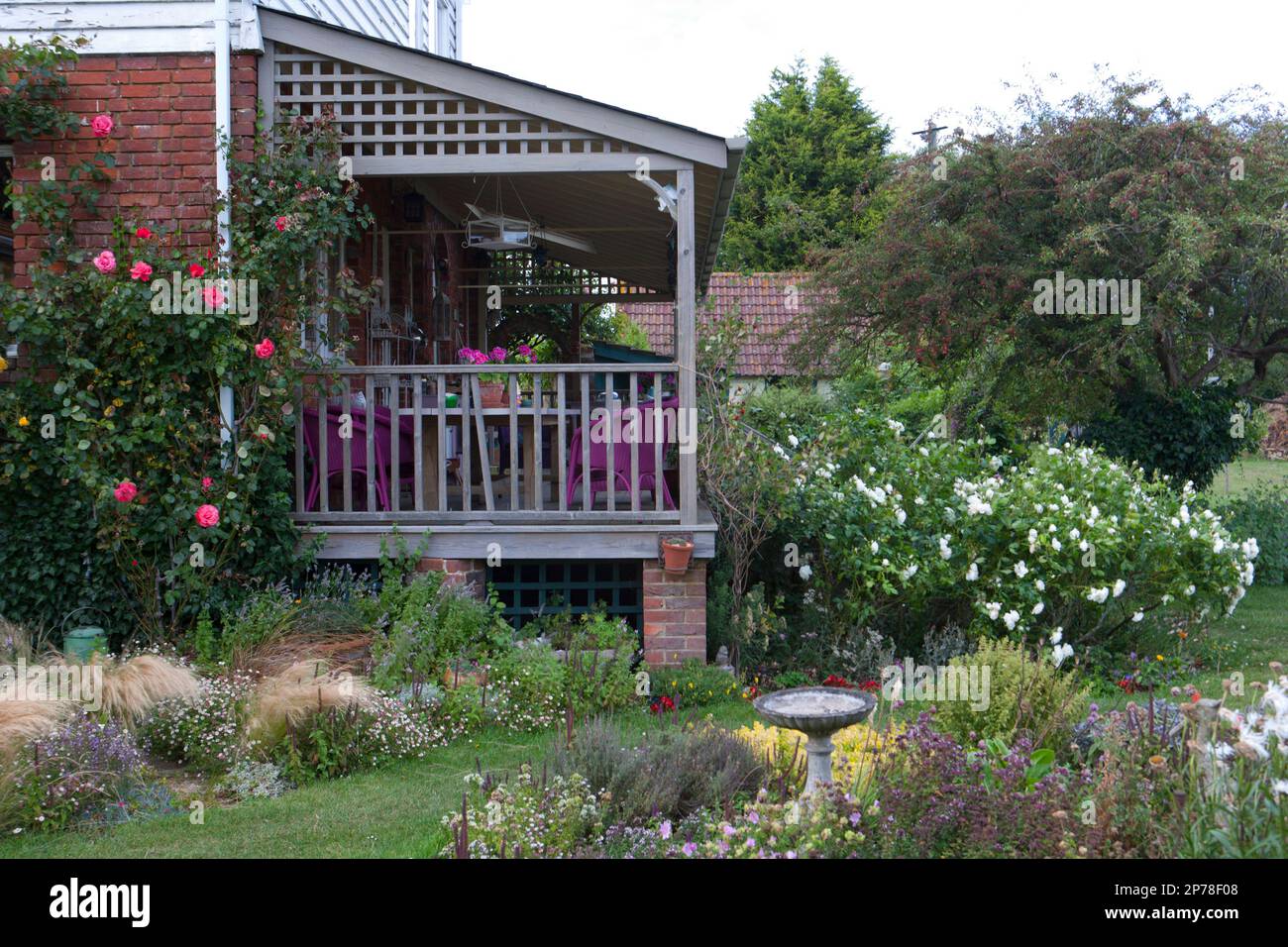 Raised wooden decking area with outdoor seating, surrounded by climbing roses Stock Photo