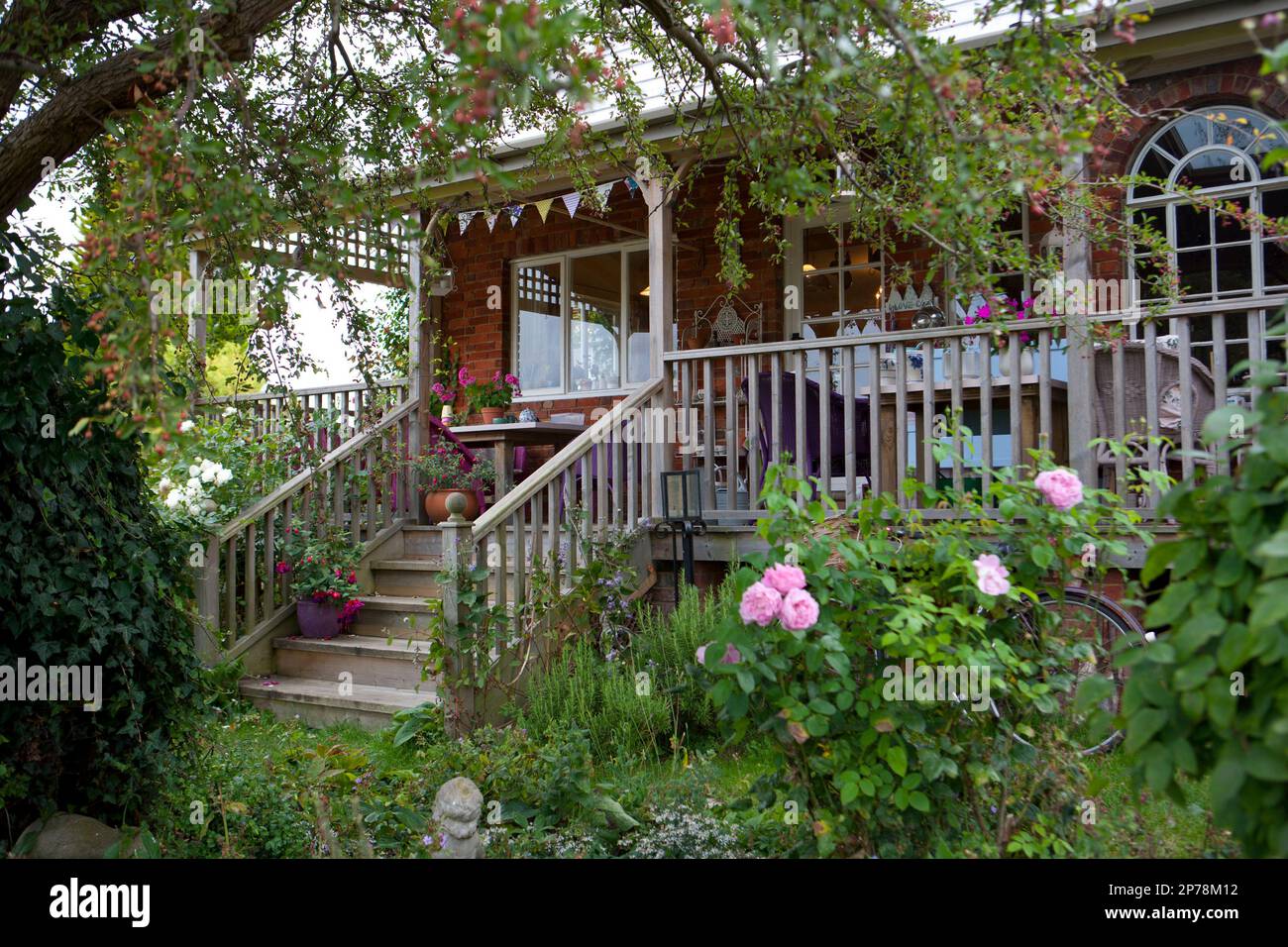Raised wooden decking area with steps and outdoor seating, surrounded by climbing roses Stock Photo