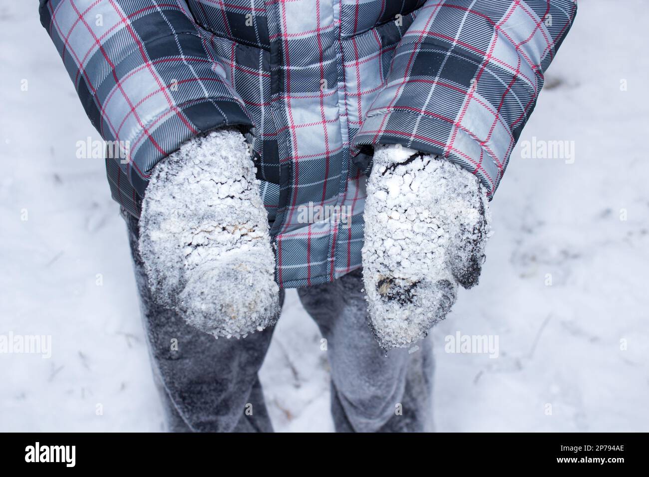 frozen hands with snow boy in gloves Stock Photo Alamy