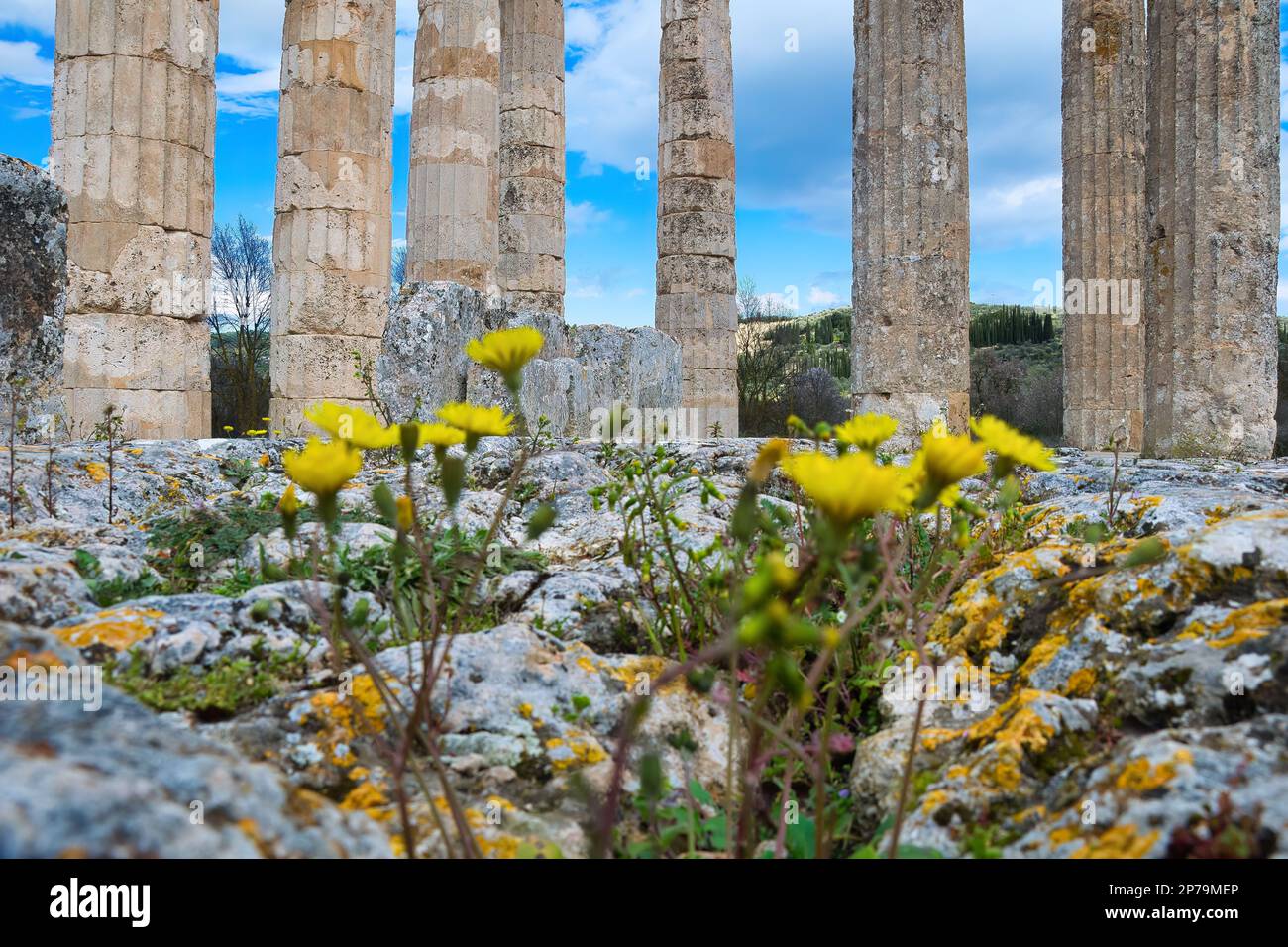 Doric style columns and ruins from Temple of ancient Greece. temple of ...