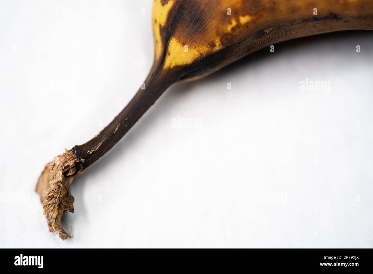 Ripe banana stem isolated on white background. Selective focus. Stock Photo