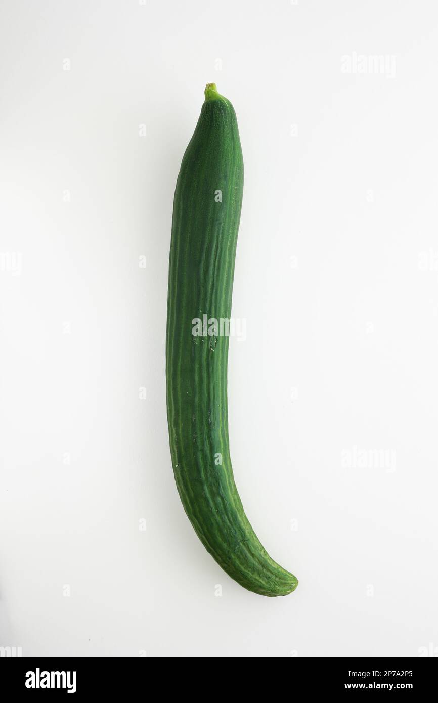 One whole unpeeled fresh green long cucumber isolated on white background top view. Stock Photo
