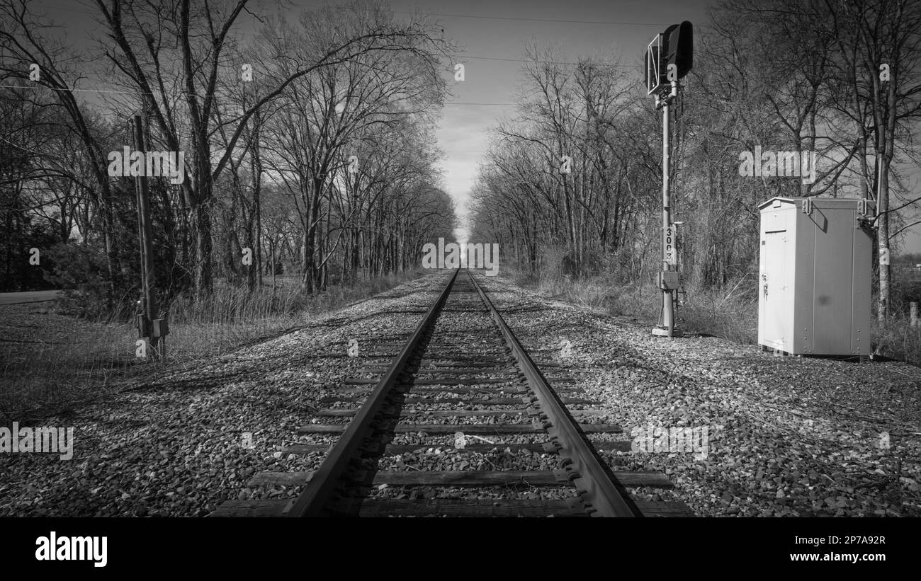 Train Tracks in the Country Stock Photo