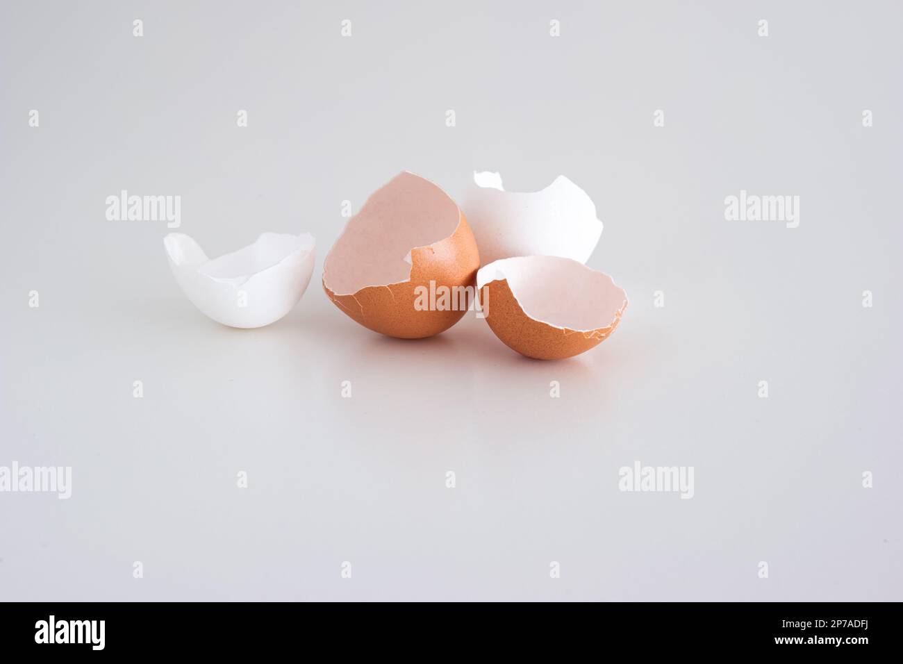 Cracked broken open chicken eggshells on white background. Close up shot, top view, no people. Stock Photo