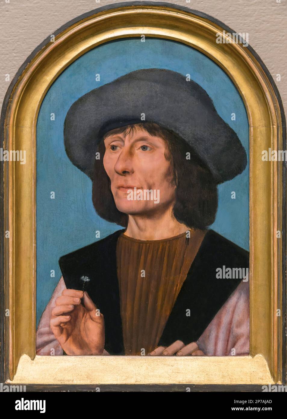 Portrait of a Man with a Pink, Quentin Massys,1500-1510, Art Institute of Chicago, Chicago, Illinois, USA, North America, Stock Photo