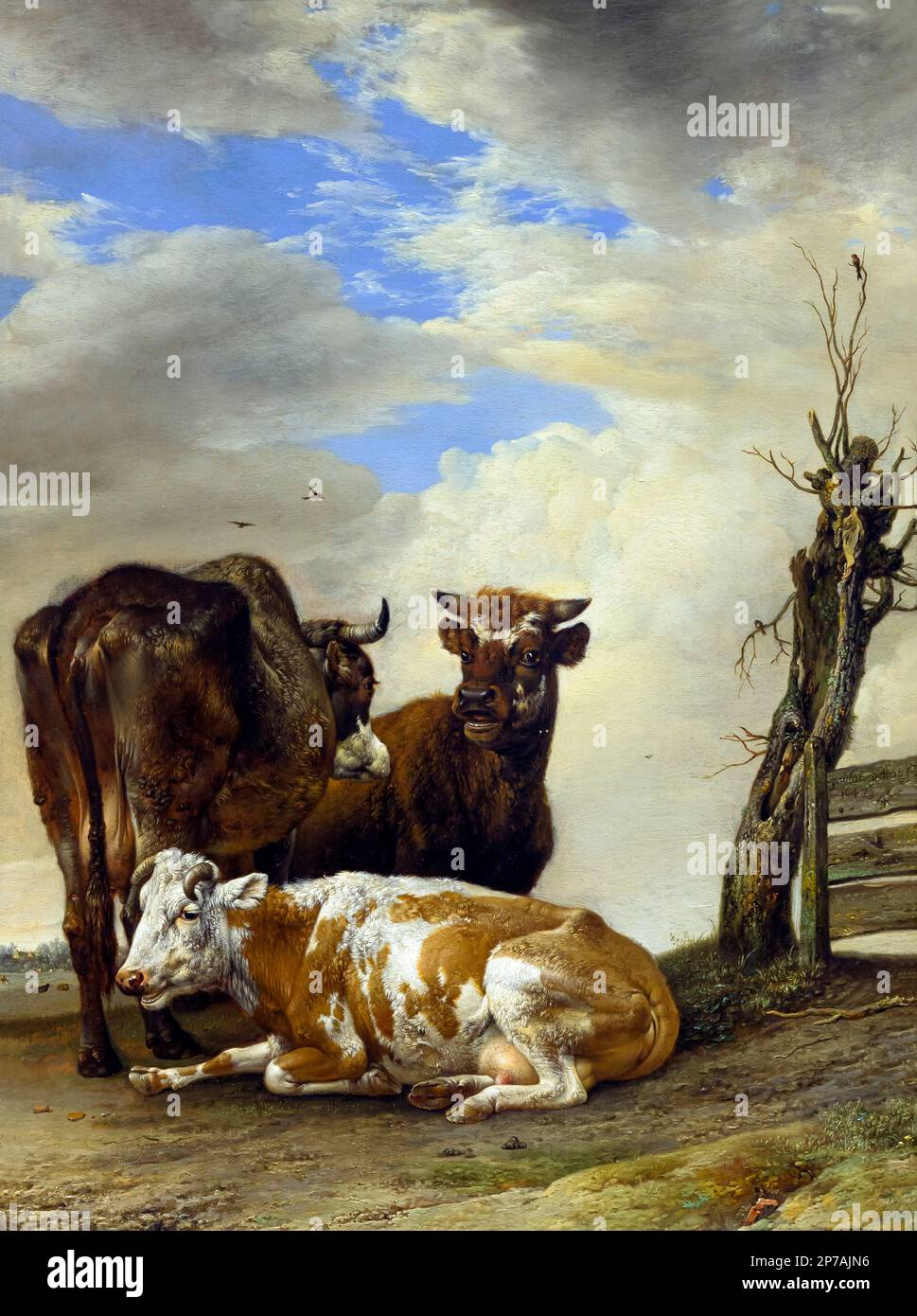 Two Cows and a Young Bull beside a Fence in a Meadow, Paulus Potter, 1647, Art Institute of Chicago, Chicago, Illinois, USA, North America, Stock Photo