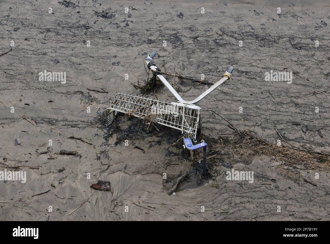 Dumped supermarket trolley in mud. Torridge Estuary. Bideford. Devon. England. UK Stock Photo