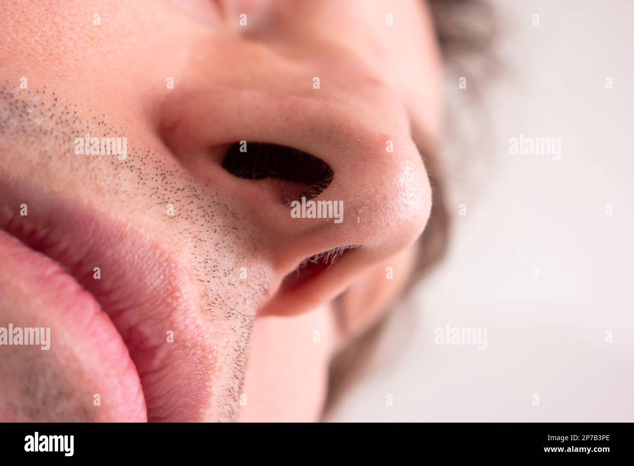 Details on the nose hi-res stock photography and images - Alamy