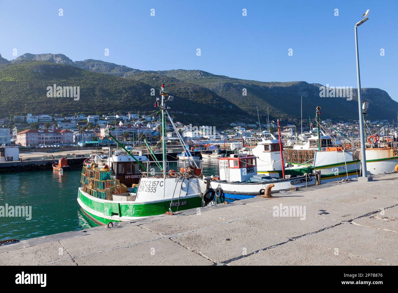 Fishing boats moored in Kalk Bay Harbour, Cape Town, Western Cape, South Africa at sunset with a view to the houses in Kalk Bay neyond Stock Photo