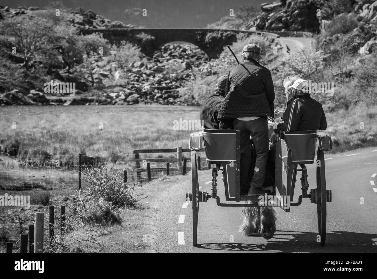 everyday-life-in-ireland-stock-photo-alamy