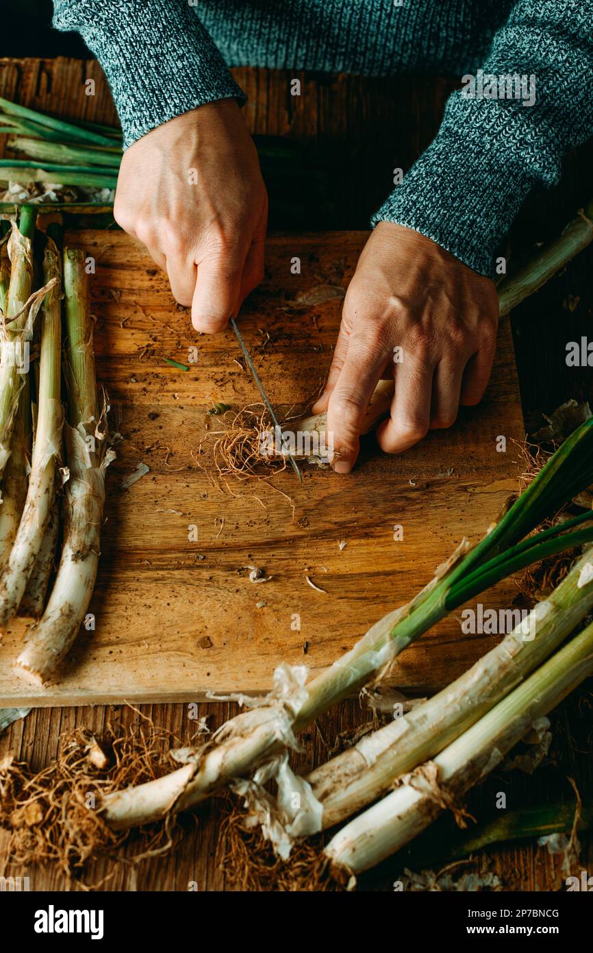 Man cutting onions hi-res stock photography and images - Alamy