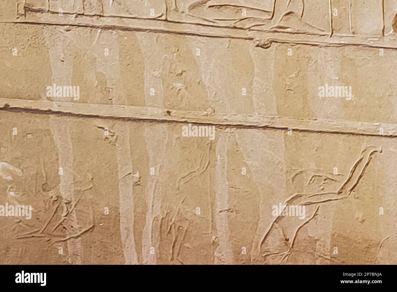 Egypt, Saqqara,  tomb of Horemheb, northern part of the East wall of the inner court, graffiti. Stock Photo
