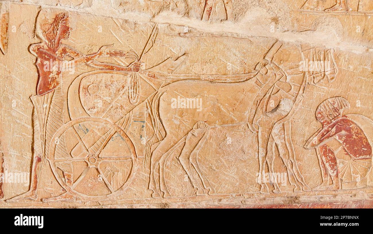 Egypt, Saqqara,  tomb of Horemheb,  inner room, East Wall South side, horses and charioteers are waiting for Horemheb and high officers. Stock Photo