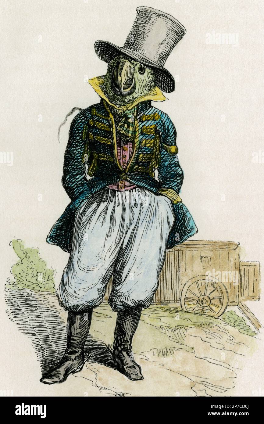Clothes of a gentleman but head of a parrot: detail of hand-tinted image of birdman in top hat, military coat and riding boots, a 19th century satirical wood engraving by Jean Ignace Isidore Gérard (1803-1847), better known as J.J. Grandville.  From ‘Scenes of the Private and Public Life of Animals’ (Paris, 1842), in which he depicted many more part-animal humans. Stock Photo