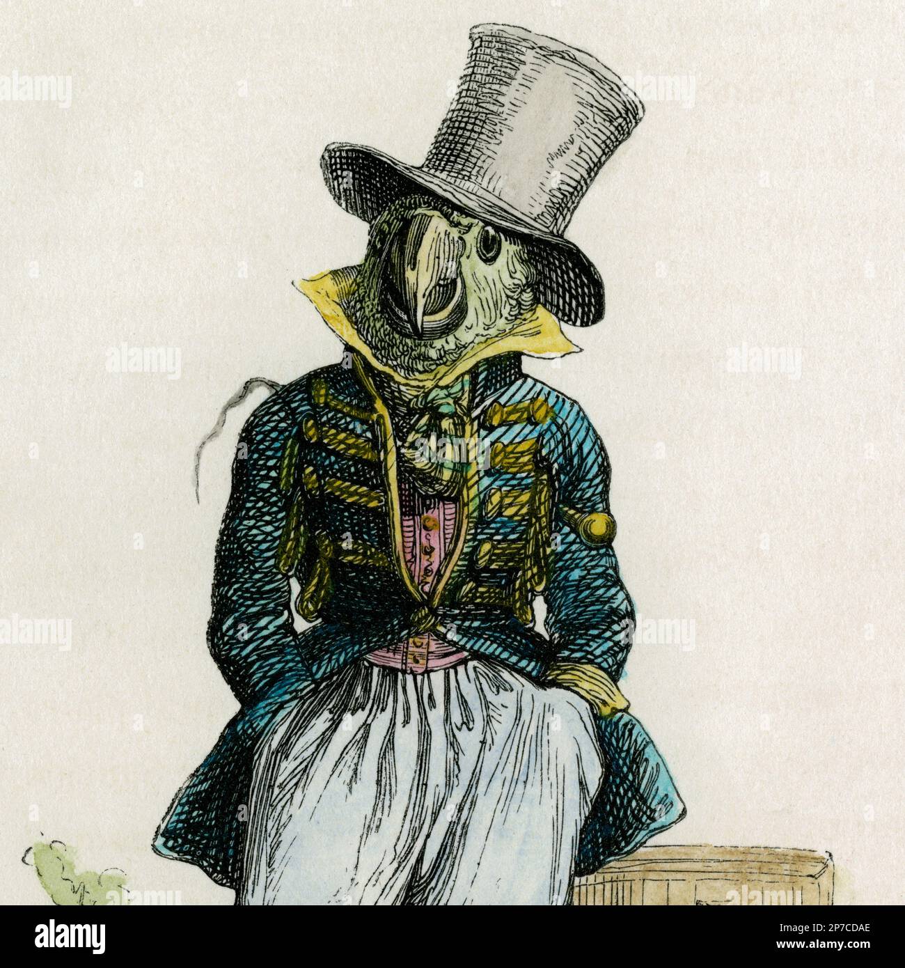 A parrot’s head on human shoulders: square format detail of hand-tinted image of birdman in top hat and military frock, a 19th century satirical wood engraving by Jean Ignace Isidore Gérard (1803-1847), better known as J.J. Grandville.  From ‘Scenes of the Private and Public Life of Animals’ (Paris, 1842), in which he depicted many more animals in human dress. Stock Photo