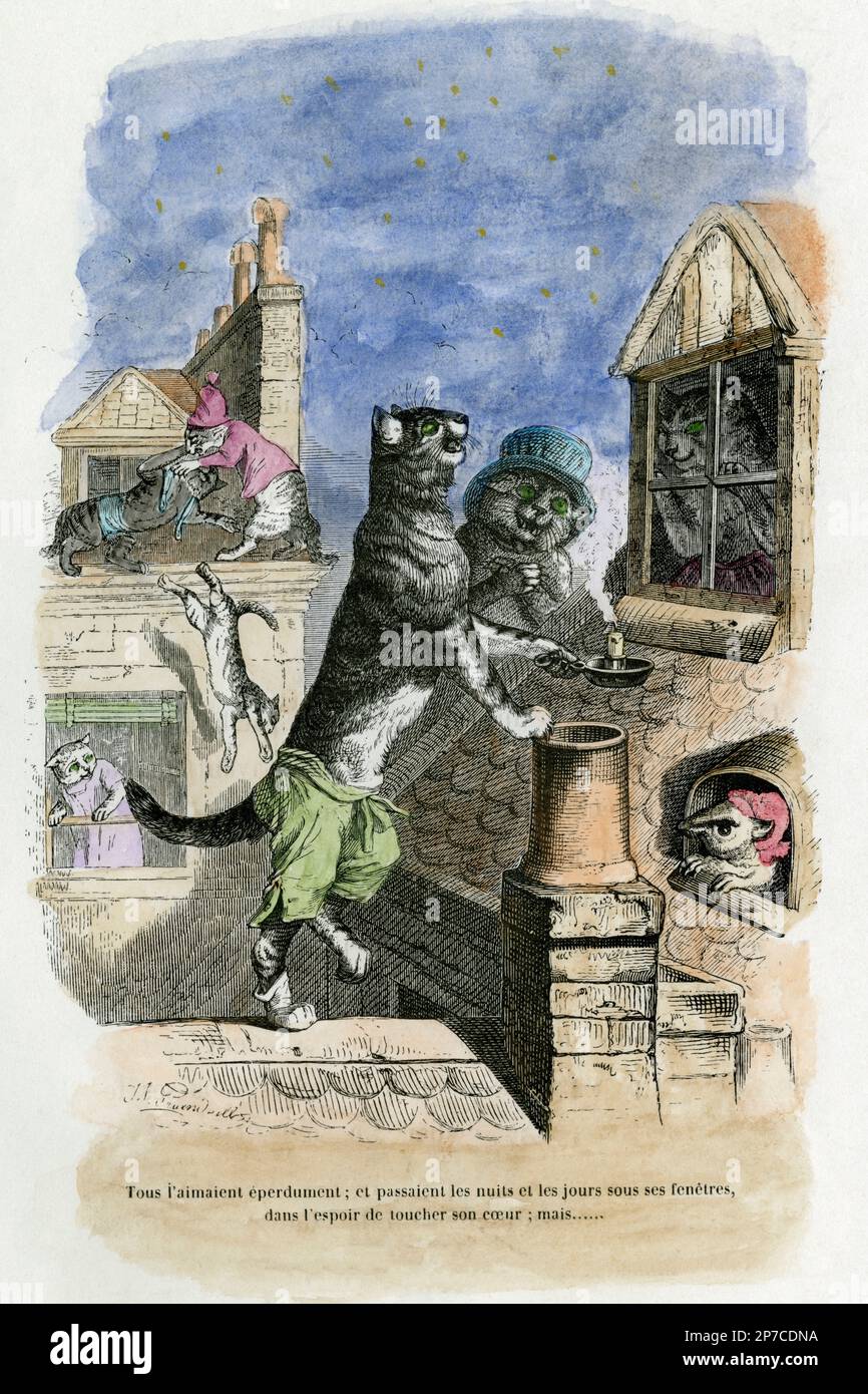 Under a starry French sky, green-eyed cats serenade a potential lover through rooftop gable glass: charming hand-tinted 19th century book illustration by the radical artist known as J.J. Grandville, more widely known for biting political caricatures, satirical drawings and republican campaigns.  From ‘Scenes of the Private and Public Life of Animals’ (Paris, 1842), which depicted humans as animals and vice versa. Stock Photo