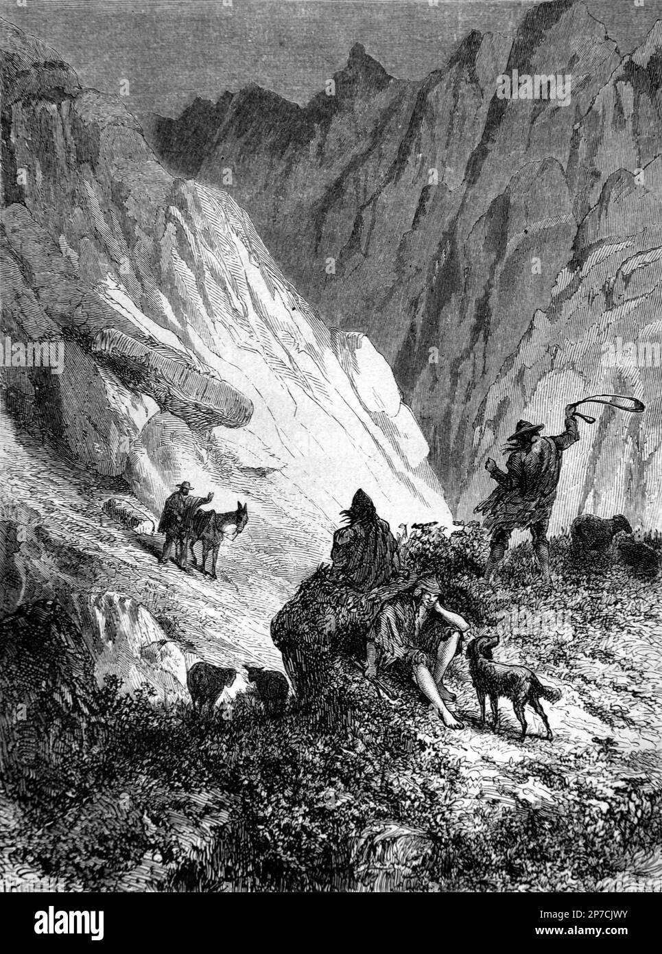 Shepherd or Herders in the Andes, Altiplano, Collao or Andean Plateau of West-Central South America. Vintage Engraving or Illustration 1862 Stock Photo