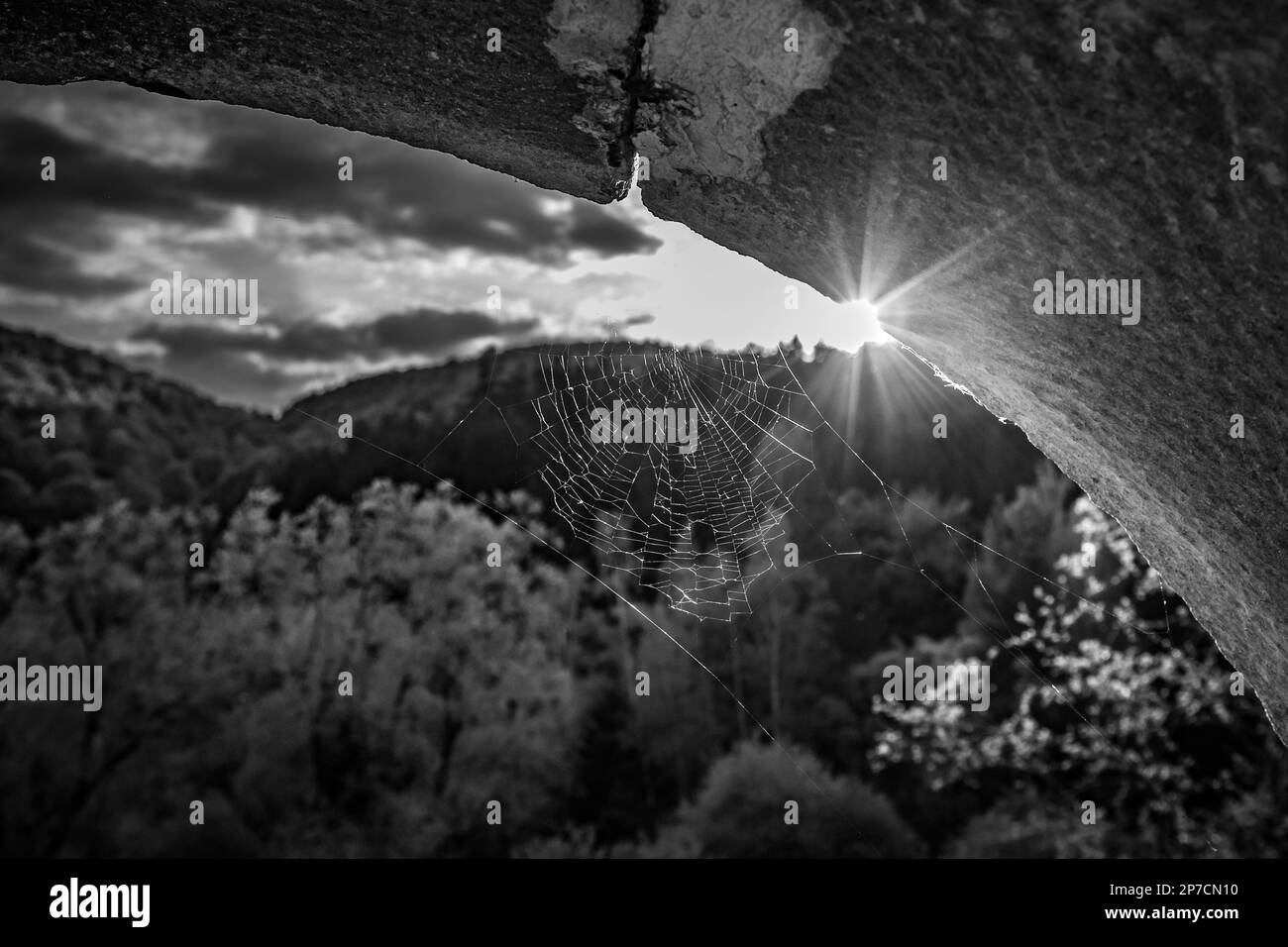 Black and white spider cobweb against the Sun, light diffraction, mountain in the background, shallow selective focus, dreamy mood Stock Photo