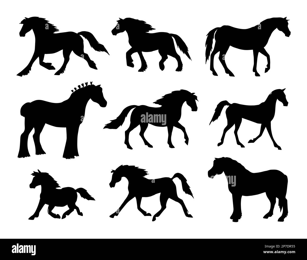 Vector set of hand drawn doodle sketch horse breeds silhouette isolated on white background Stock Vector