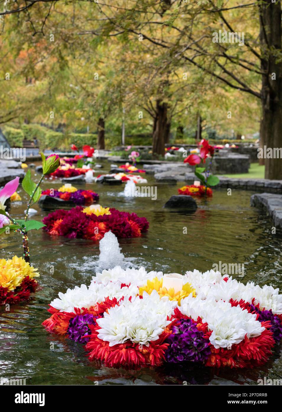 Multiple sets of rangoli flowers float on water to celebrate Diwali. Stock Photo
