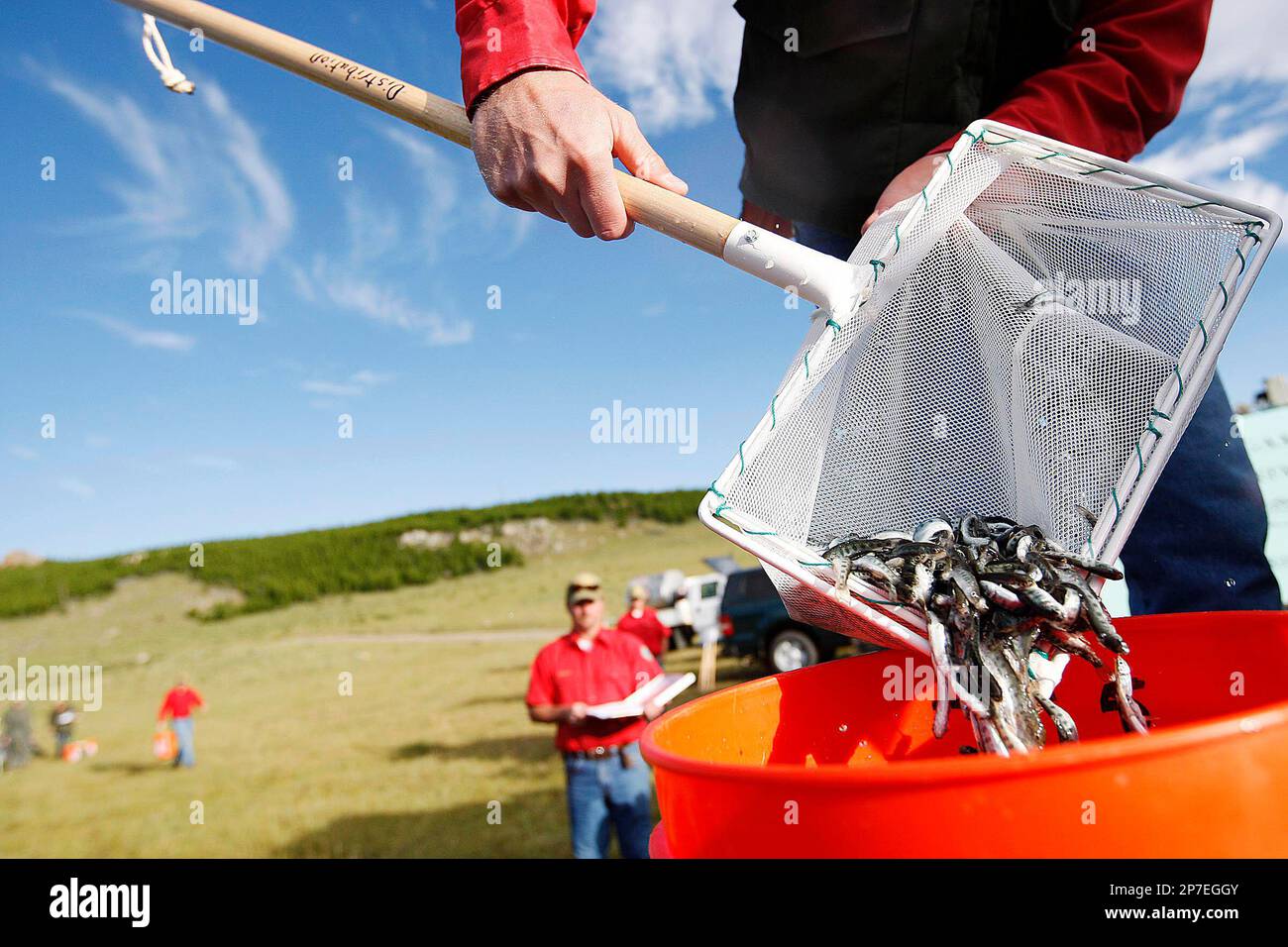 Travis Trimble, Assistant supervisor of the Dubois Fish Hatchery