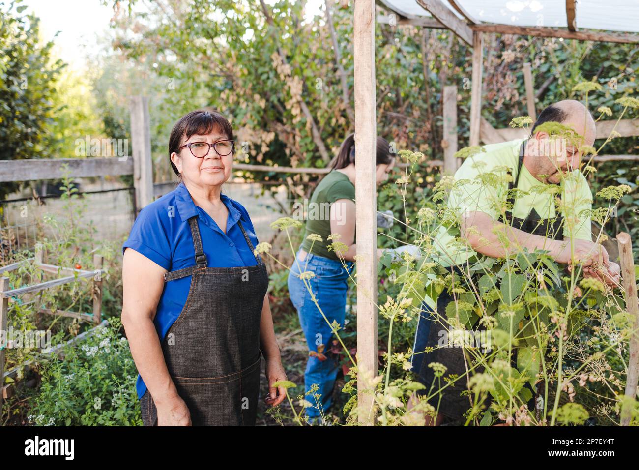 Backyard Farmer Hi res Stock Photography And Images Alamy backyard-farmer-hi-res-stock-photography-and-images-alamy