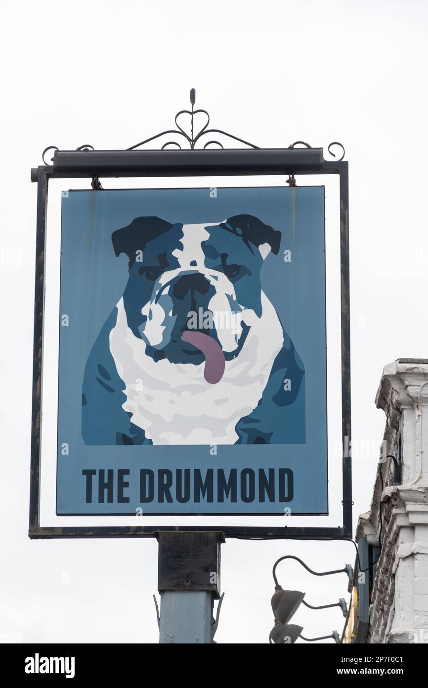 The Drummond pub sign with a bulldog, Guildford town, Surrey, England, UK Stock Photo
