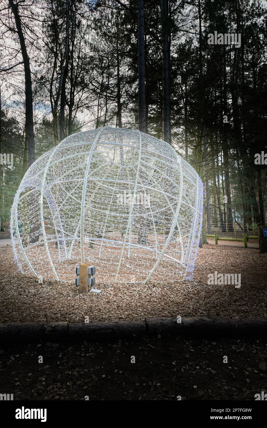 Christmas decoration at Center Parcs, Sherwood Forest, England Stock