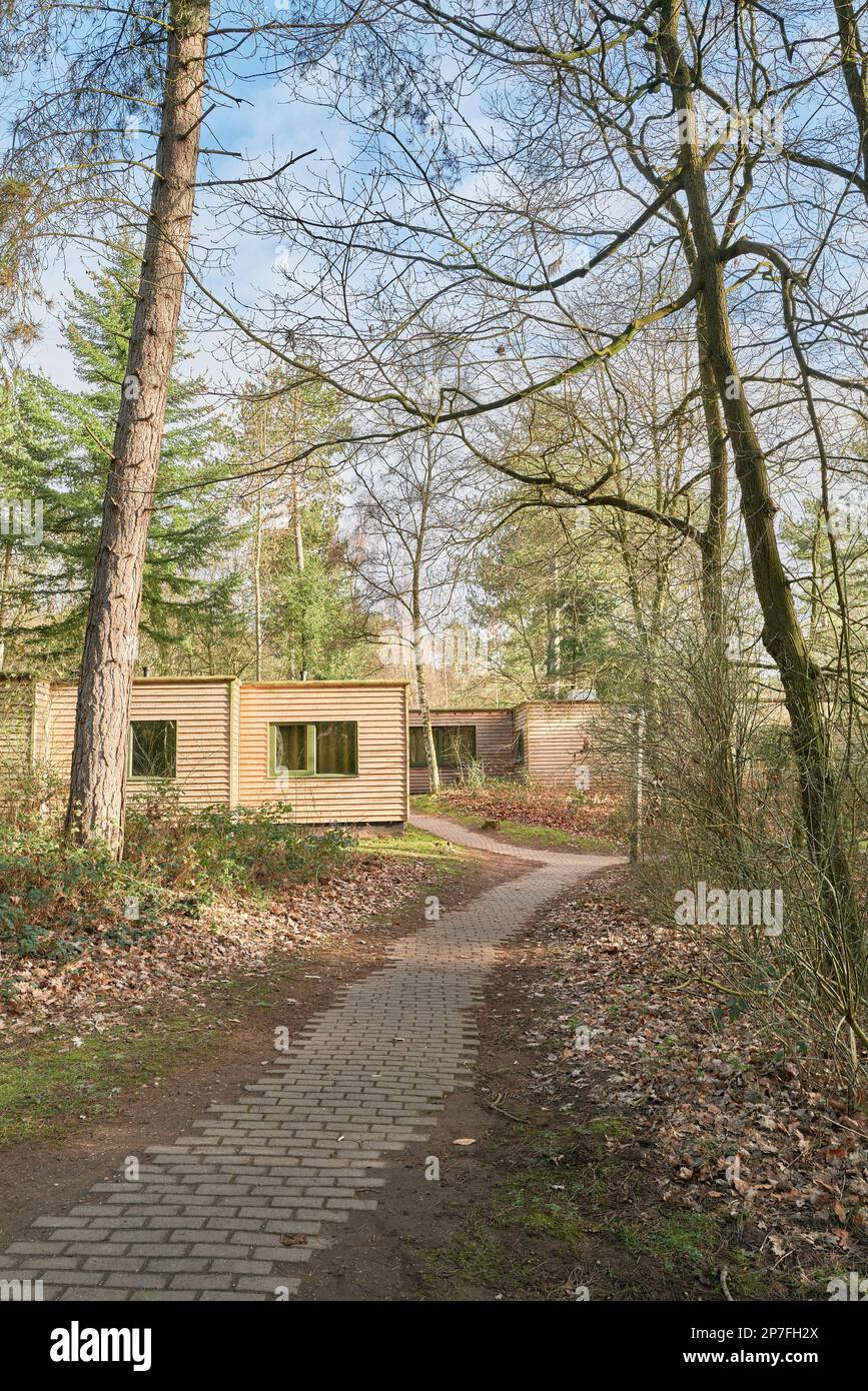 Lodge at Center Parcs, Sherwood Forest, England Stock Photo Alamy