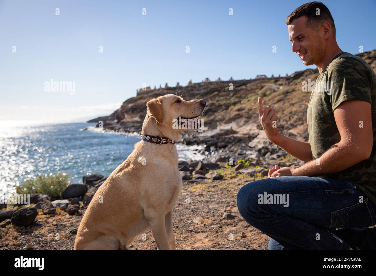 A dog trainer gestures with his hand in front of a dog during a training session. Stock Photo