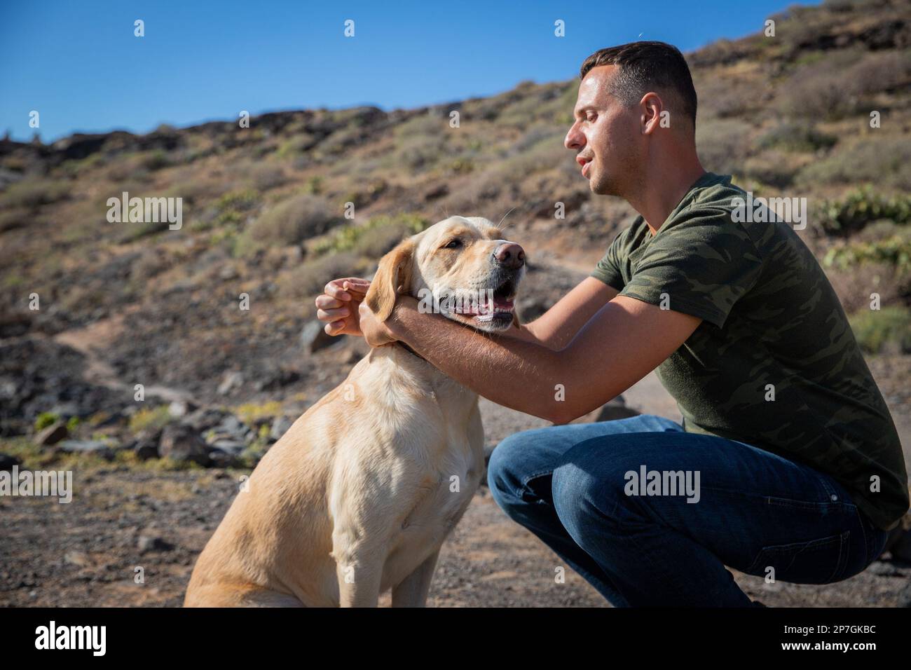 A dog trainer puts the collar on a golden retriever, photo with copy space. Stock Photo