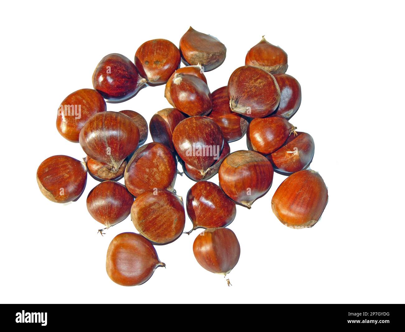 chestnuts isolated on white background Stock Photo