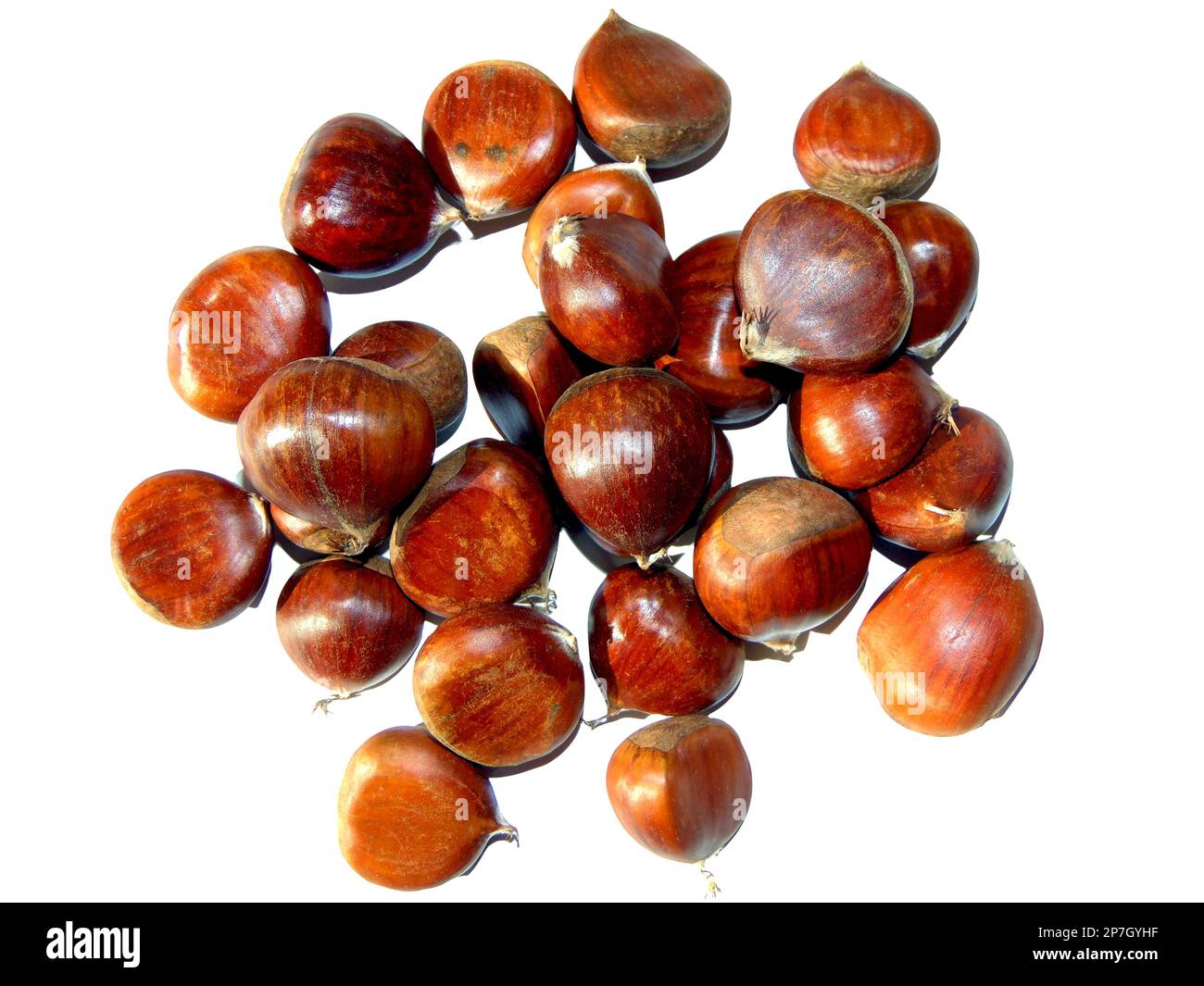 chestnuts isolated on white background Stock Photo