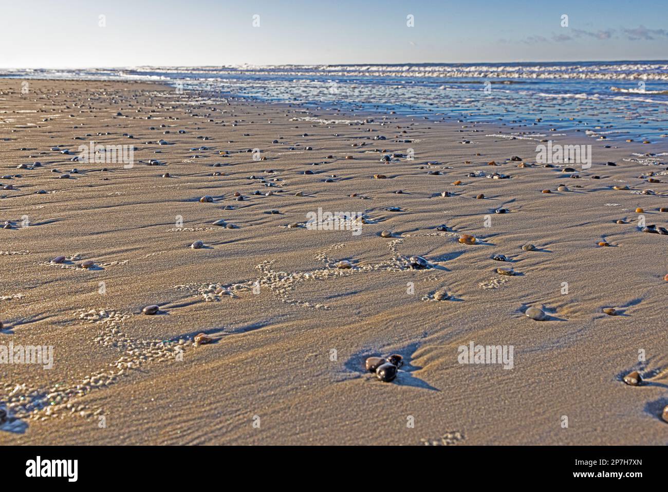 Image of shells and stones on a North Sea beach in Denmark in winter ...