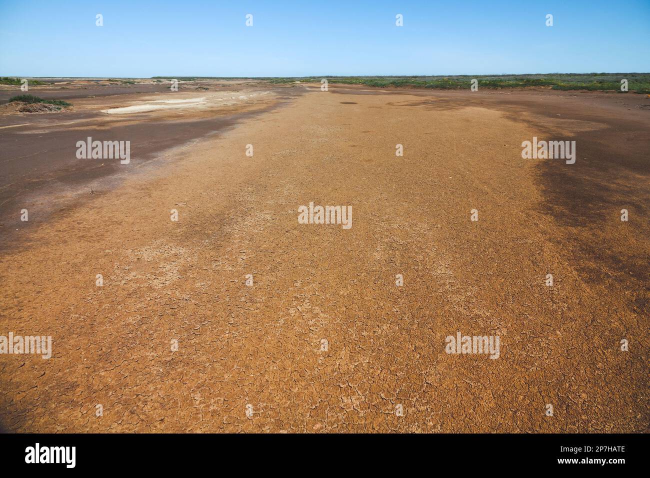 Wet saline (salt flat, salt marsh) on plain near Lake Sivash, where the salinity is 60-70 ppm at the moment. Crust with an admixture of chestnut soil Stock Photo