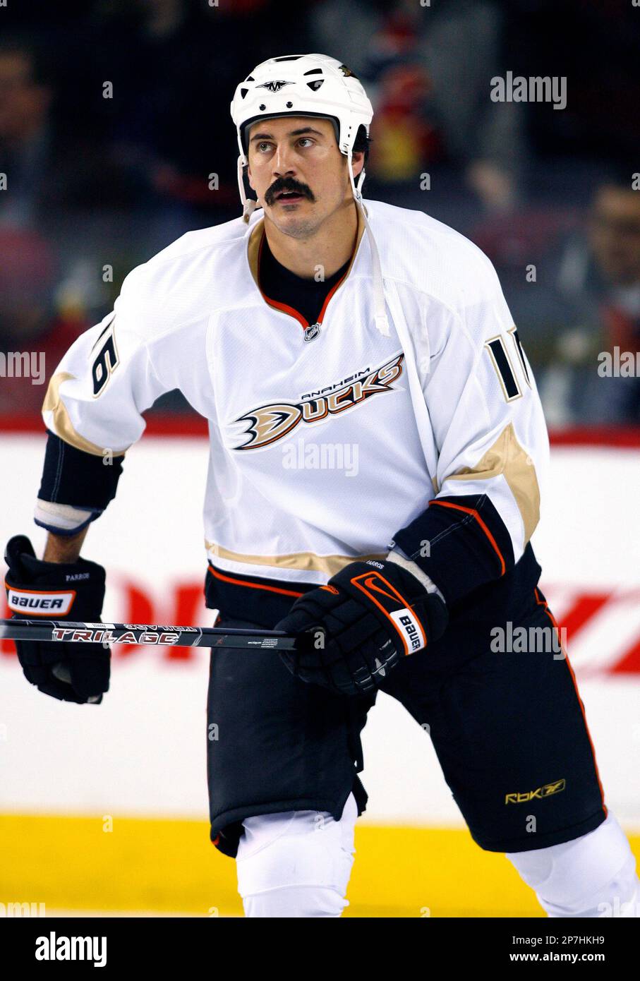 NHL player profile photo on Anaheim Ducks' George Parros during a recent  game in Calgary, Alberta. The Canadian Press Images/Larry MacDougal  (Canadian Press via AP Images Stock Photo - Alamy
