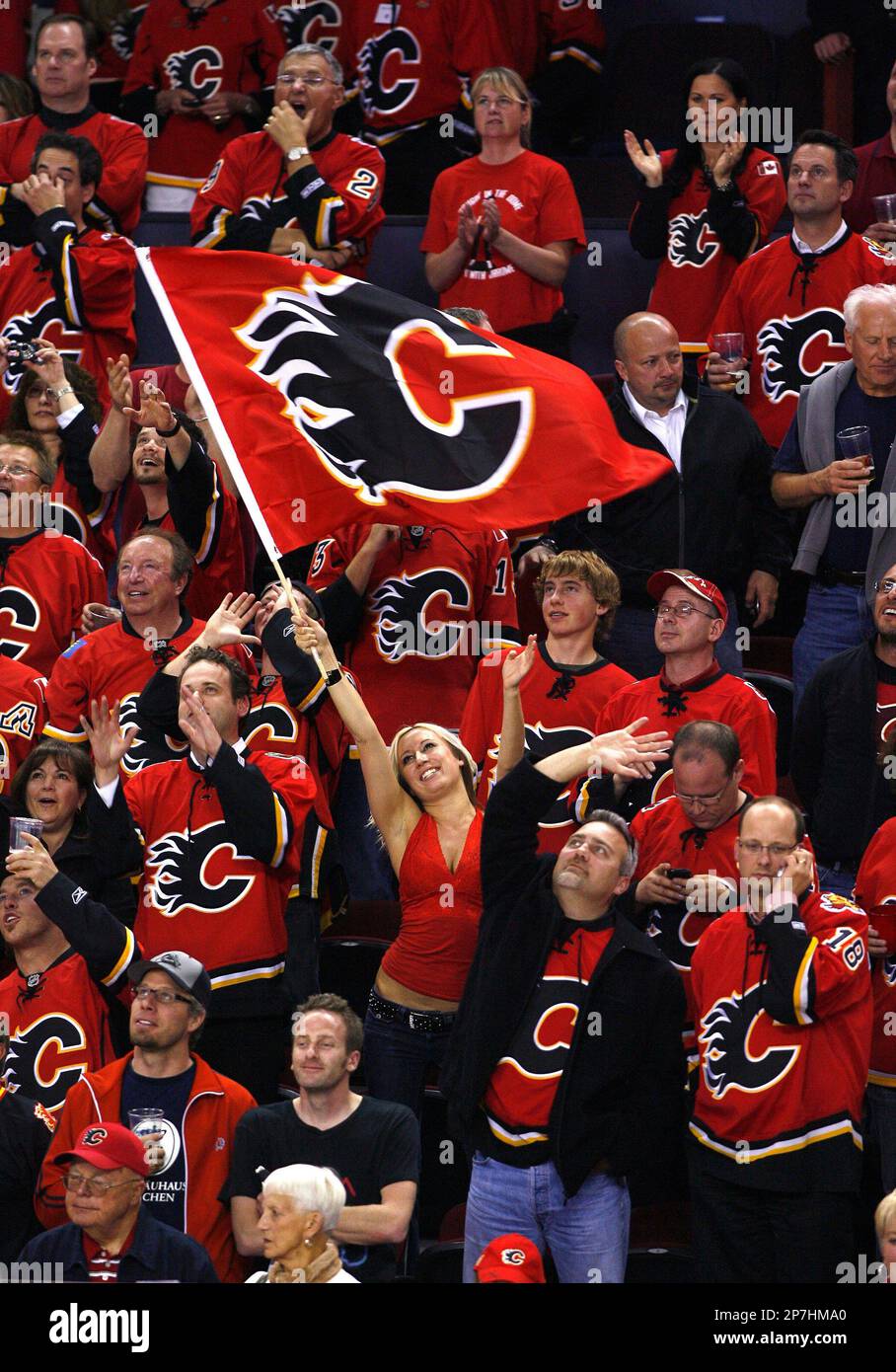 Calgary Flames' mascot Harvey the Hound in a sea of red with fans during a  recent NHL playoff hockey game in Calgary. Larry MacDougal/TCPI/The  Canadian Press (Canadian Press via AP Images Stock