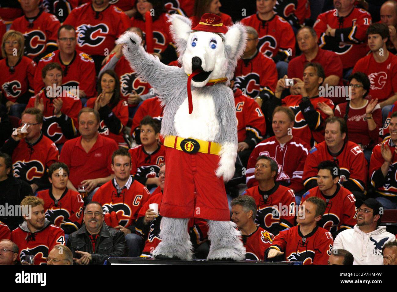 Calgary Flames' mascot Harvey the Hound in a sea of red with fans during a  recent NHL playoff hockey game in Calgary. Larry MacDougal/TCPI/The  Canadian Press (Canadian Press via AP Images Stock