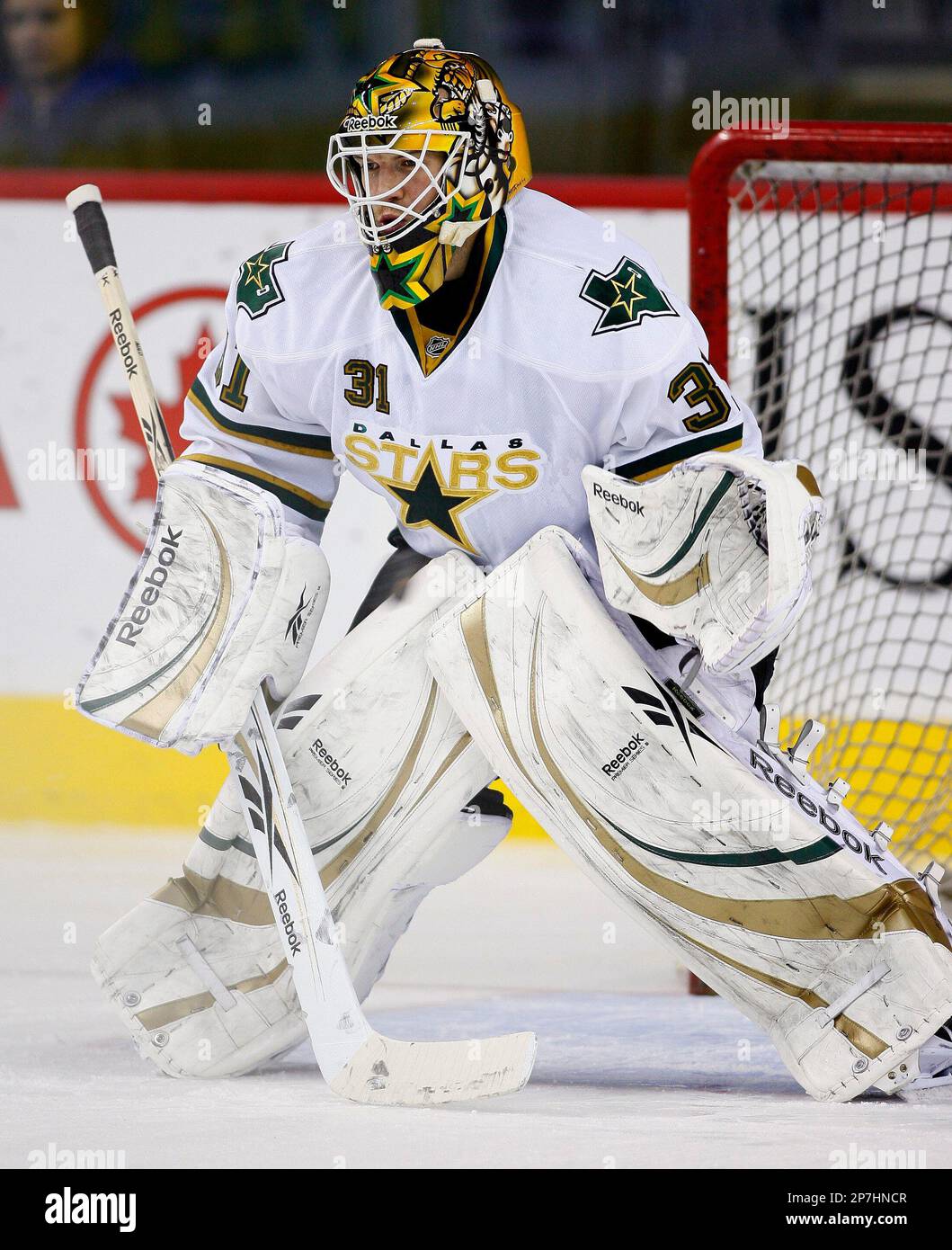 NHL player profile photo on Dallas Stars' goalie Alex Auld during a