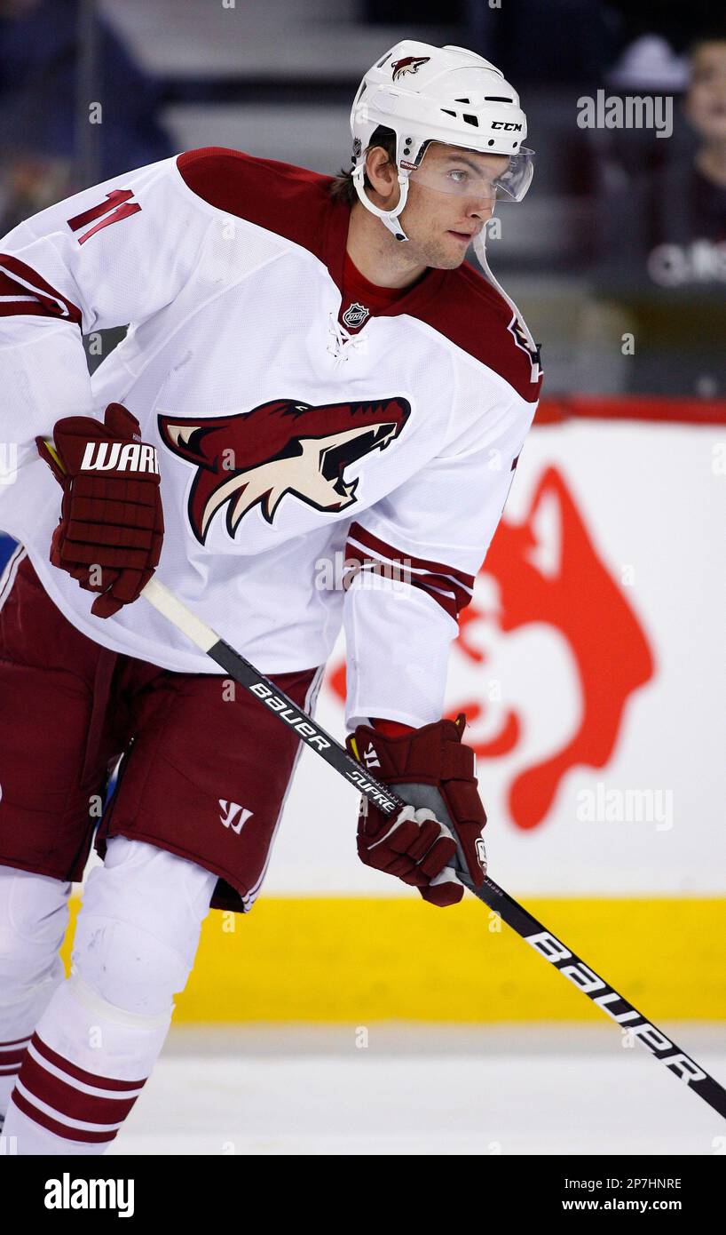 NHL Player Cards: Arizona Coyotes - The Athletic