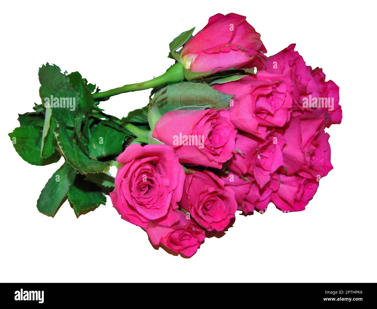bouquet of pink roses isolated on white background Stock Photo - Alamy