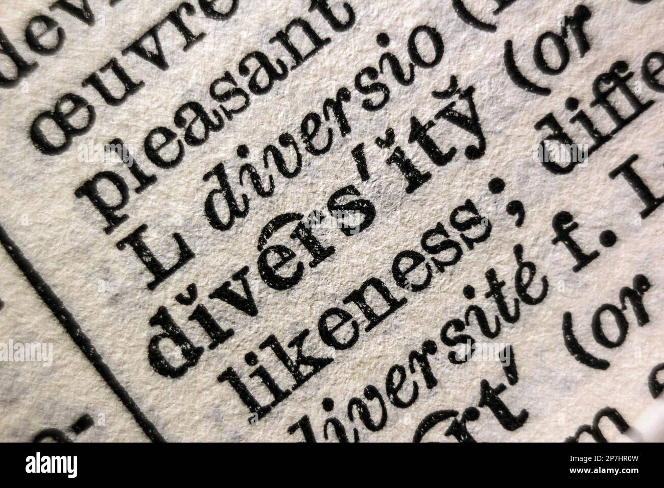 Definition of word diversity on dictionary page, closeup Stock Photo