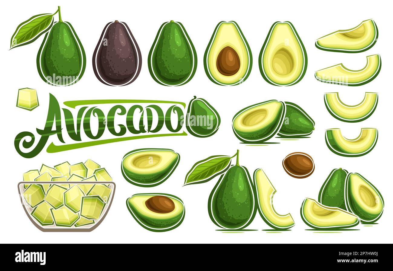 Vector Avocado Set, banner with collection of cut out illustrations veggie still life composition with green leaves, ripe chopped avocado in glass dis Stock Vector