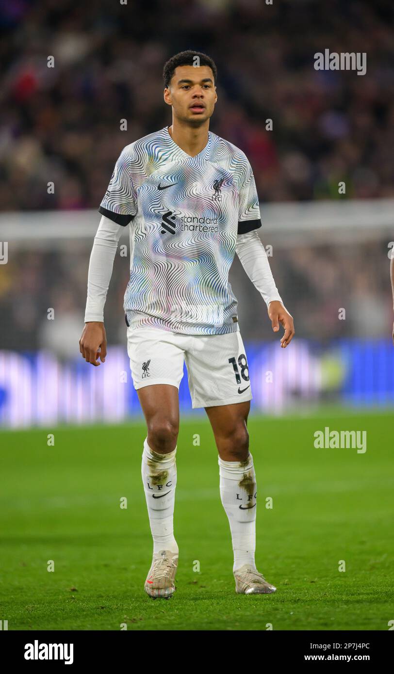 25 Feb 2023 - Crystal Palace v Liverpool - Premier League - Selhurst Park  Liverpool's Cody Gakpo during the Premier League match against Crystal Palace. Picture : Mark Pain / Alamy Live News Stock Photo