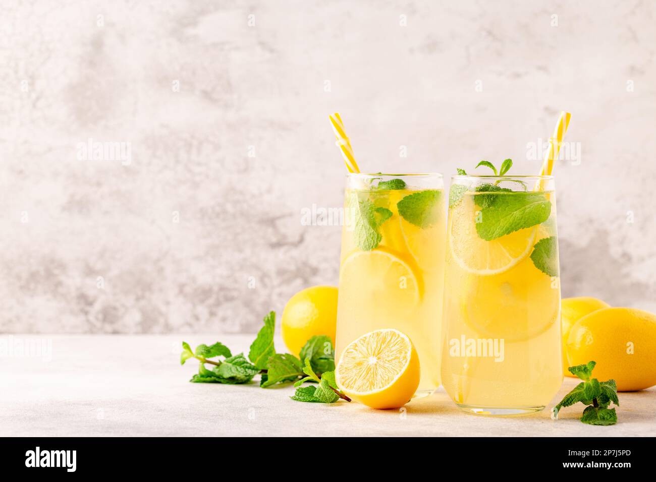 Lemon & Mint Ice Cubes - Decanteria
